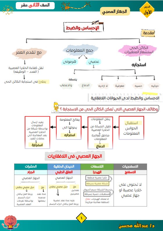 مذكرة درس الجهاز العصبي أحياء الصف الثاني عشر الفصل الأول أ عبد الله محسن