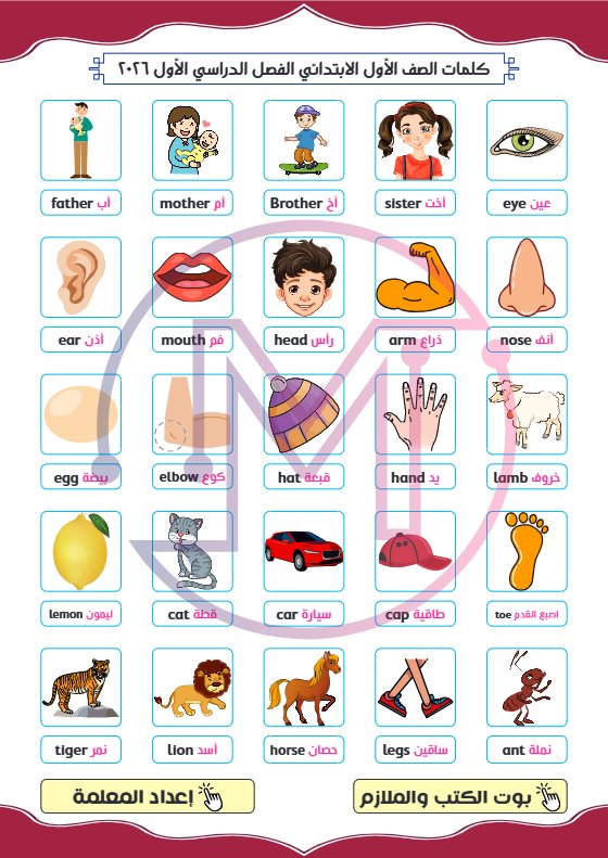 كلمات لغة انجليزية للصف الأول الفصل الأول 2026