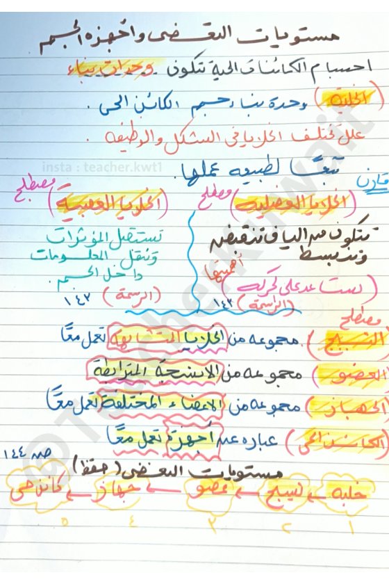 تلخيص درس مستويات التعضي وأجهزة الجسم علوم الصف السادس الفصل الأول