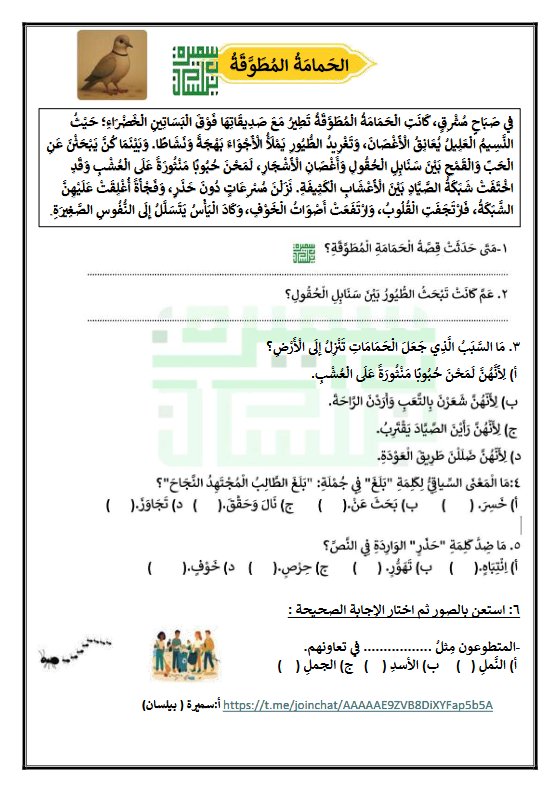 ورقة عمل الحمامة المطوقة للغة العربية الصف الرابع الفصل الثاني أ سميرة بيلسان