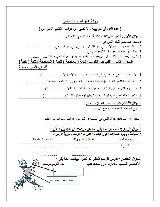 ورقة عمل تدريبية علوم الصف السادس الفصل الثاني 26926