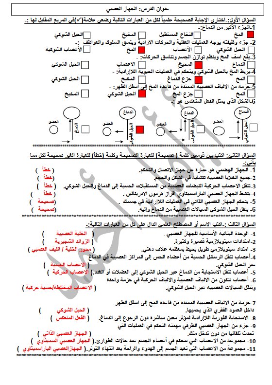 حل أوراق عمل درس الجهاز العصبي علوم الصف التاسع الفصل الثاني أ أمل أحمد